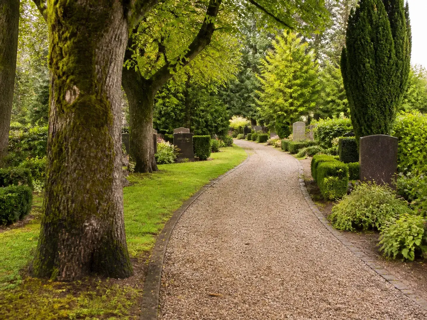 Gepflegter Friedhofsweg unter alten Bäumen im Emsland